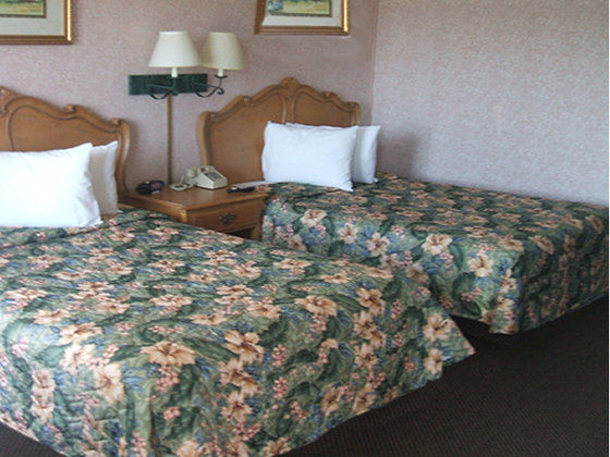 Motel 6 Burlington Bilik gambar